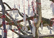 32 FESTIVAL CERVIA 2012 - 012